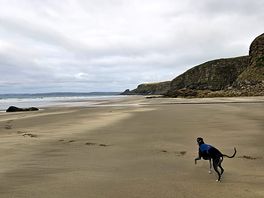 Druidston haven.