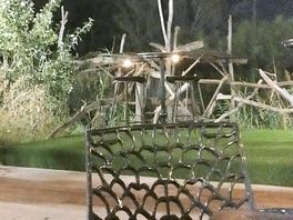 Tables proches jeux et animaux