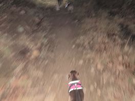 Late night walk
