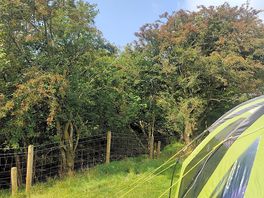 Next to the stream 🙂