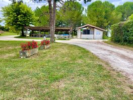 Site