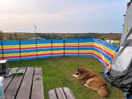 Our pitch , we only used half of it