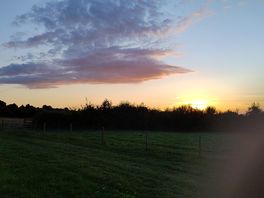 Evening view