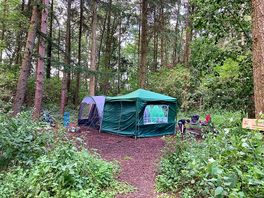 large woodland pitch picture