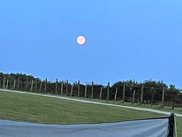 Nice red moon view over field