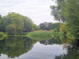 The on site lakes