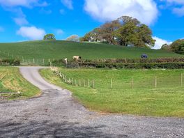 Drive coming down to campsite