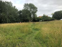 Winding path through the meadow, looking towards the farmhouse.