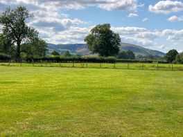 Dog exercise field.