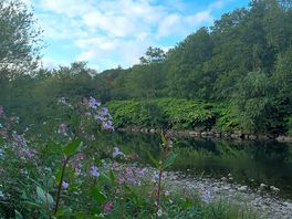 River adjacent to the field