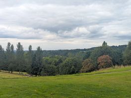 Beautiful views from the site