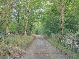 Narrow road on the drive in. manageable but a little bumpy, we have a small car so wasn't too bad.