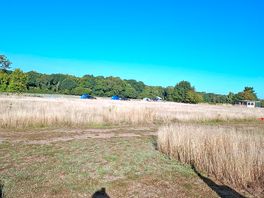 A view from our tent !!!!