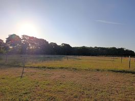 Beautiful view