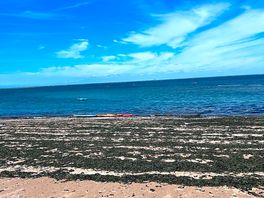 The beach