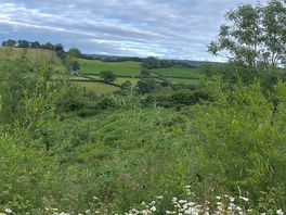 View from the site