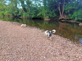 River wyre walk