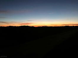 Sunset over the vines