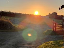 Sunrise
