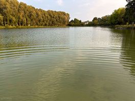 By the lake
