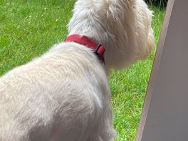 Buster loved it here
