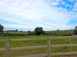 View from shop