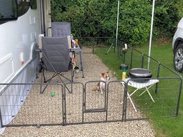 Lots of room on all pitches, dogs allowed.
