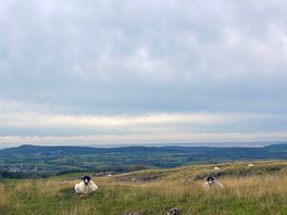 Out in the crags