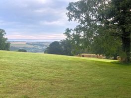 The lawns at dawn