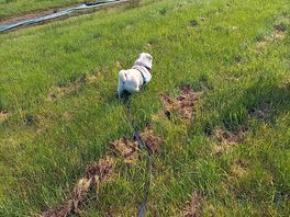 Lovely walks.