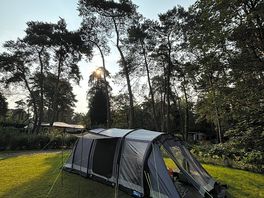 Tent in trees