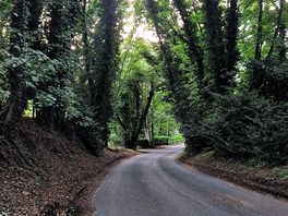 Local roads