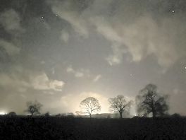 Stary skies
