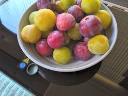 Fresh plums