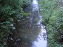 Walk from campsite swanage