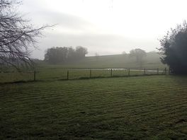 Morning mist