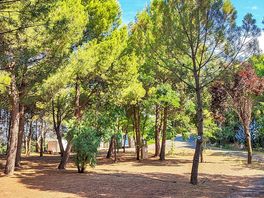 Tree-shaded pitches