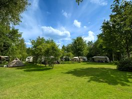 Deel van het campingterrein