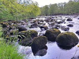 From the path by the site