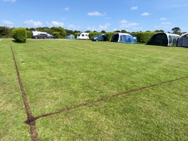 Bronze pitch