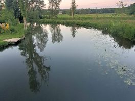 Rivière magnifique