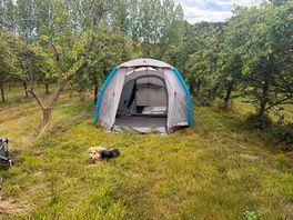 Pitched between the apple trees