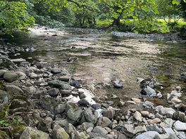 Stream