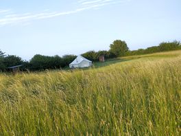 View of bell tent