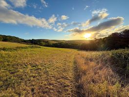 Circular walk of the campsite