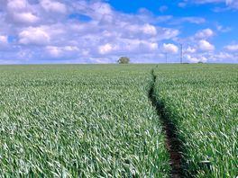 Walk back from the canal to west felton.