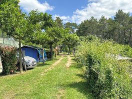 Pitches shaded by trees