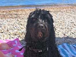 Max