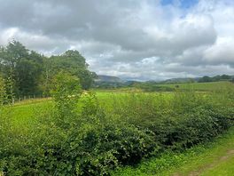 Nearby scenery