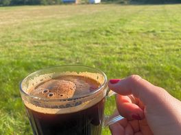 Morning coffee
